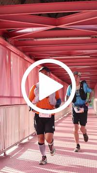 BIB:  <button type="button" onclick="openModal(27337766)" class="btn btn-primary btn-sm float-right" data-toggle="modal" data-target=".modal-high-quality">
                <i class="fa fa-download"></i> Download
                </button>